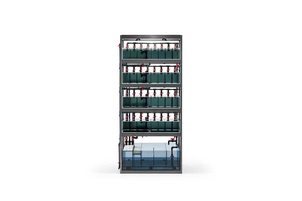 UNS Betta Holding System