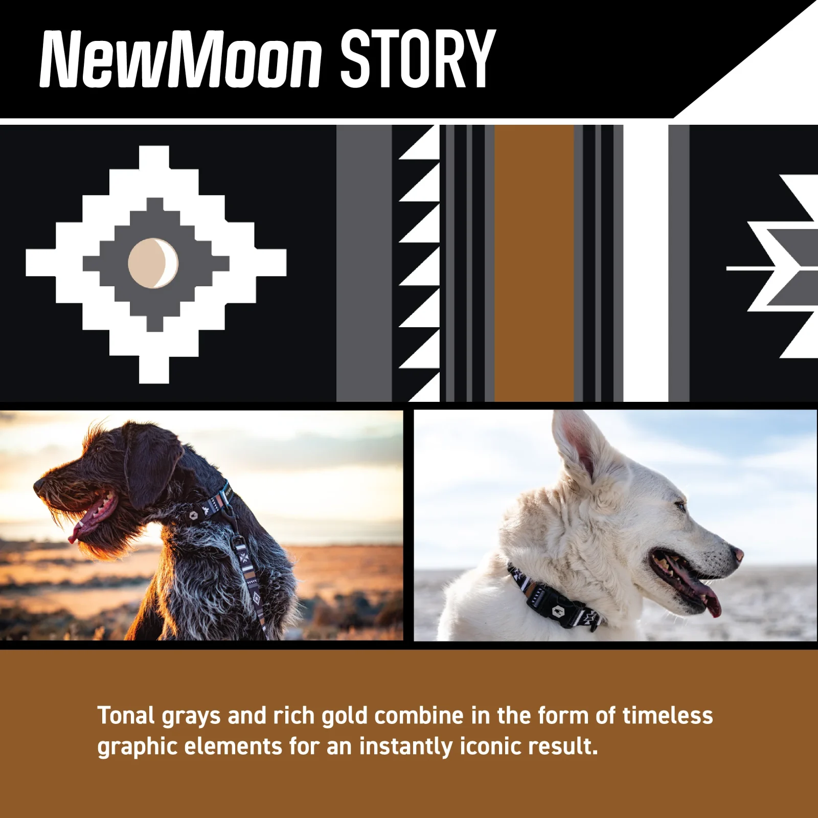 NewMoon Dog Harness - Image 2