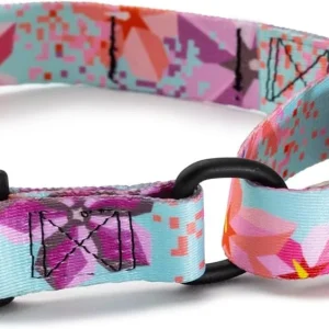 DigiFloral Martingale Dog Collar