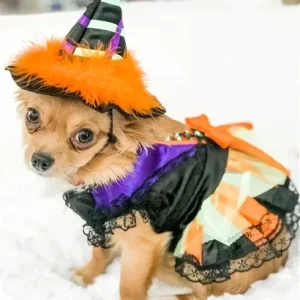Halloween Witch Costume