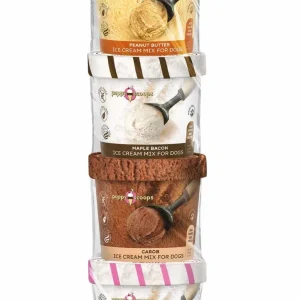 Puppy Cake Puppy Scoops Ice Cream Assorted Flavor 4 ct