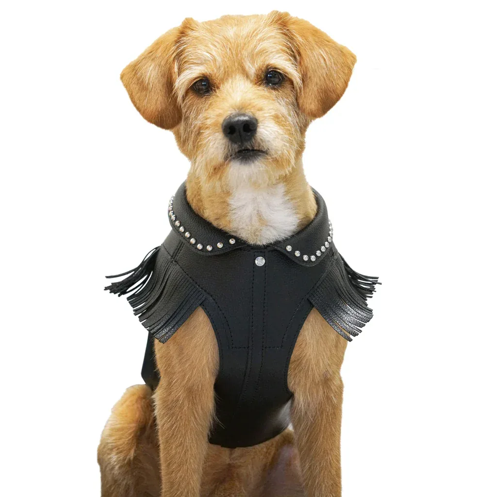 Western Fringed Style Harness Jacket in Black - Image 2