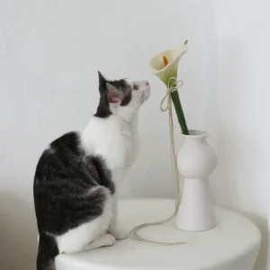 Catenary Flora Wand