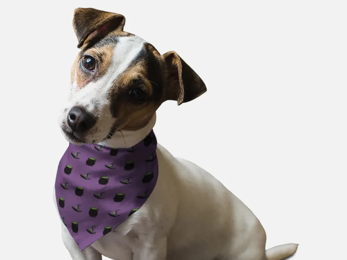 Witch's Brew Dog Bandana by BanDoggie