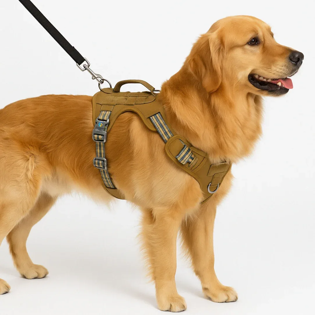 Zoivane Harness for Dogs (Black & Green) - Image 2