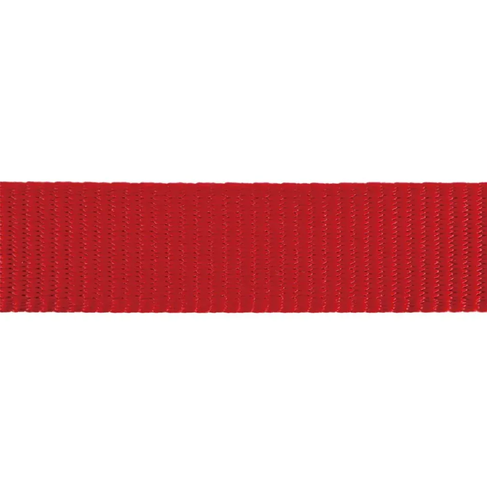 Red Dingo Classic Leash For Dogs (Red) - Image 2