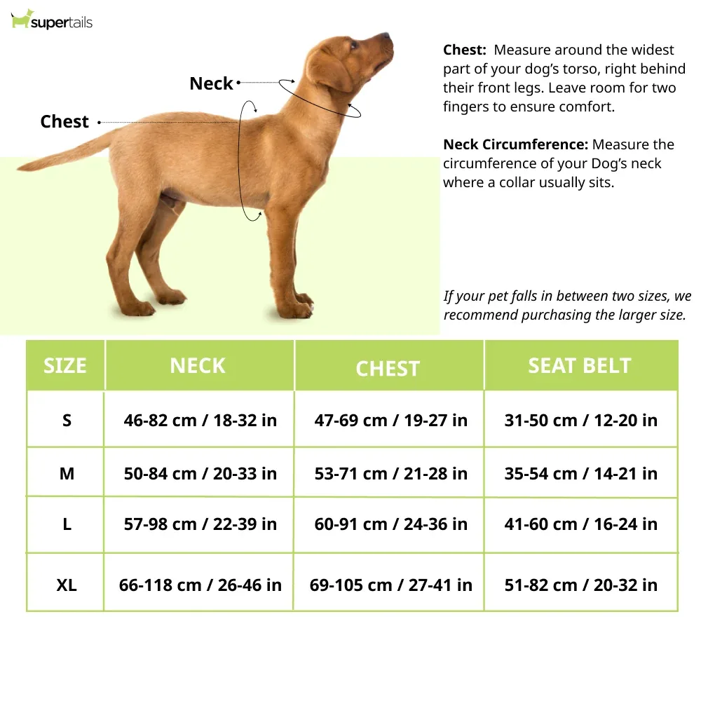 Hunter Maldon Safety Harness for Dogs (Orange) - Image 2