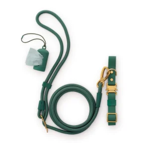 Active Everyday Collar Walk Set, Fern
