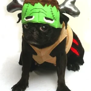 Barkenstein Costume