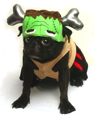 Barkenstein Costume