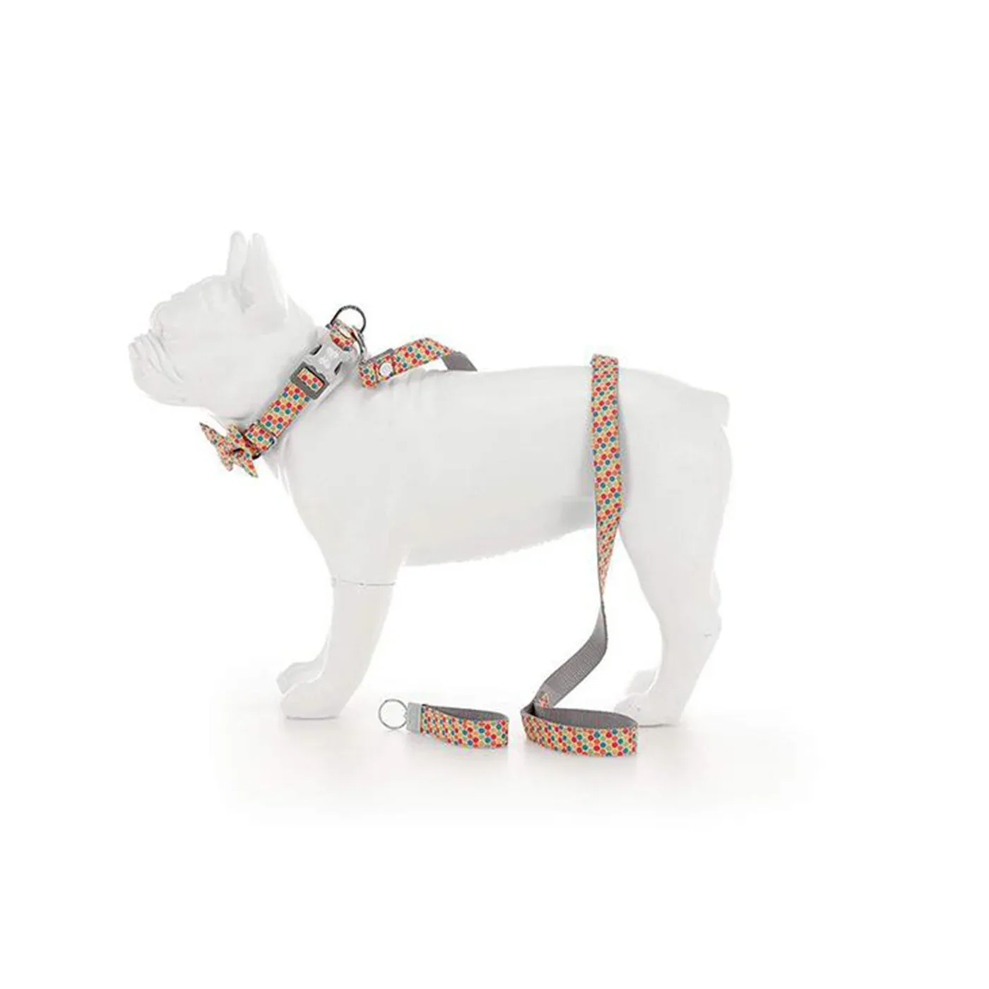 Hugo & Hudson Multicoloured Walking Set - Image 2