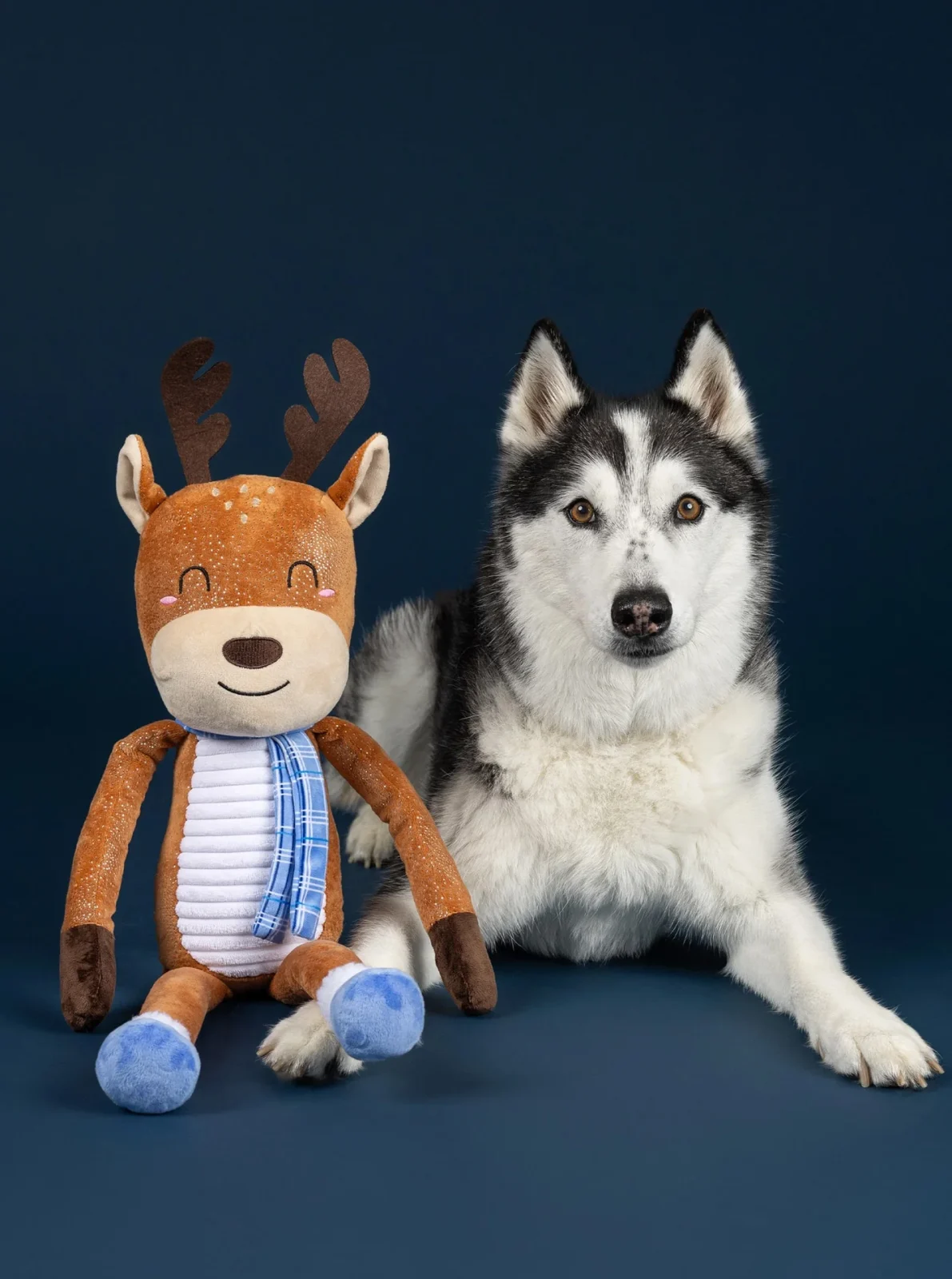 DASHIN' AROUND PLUSH DOG TOY - Image 2