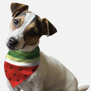 Sweet Slice Dog Bandana by BanDoggie