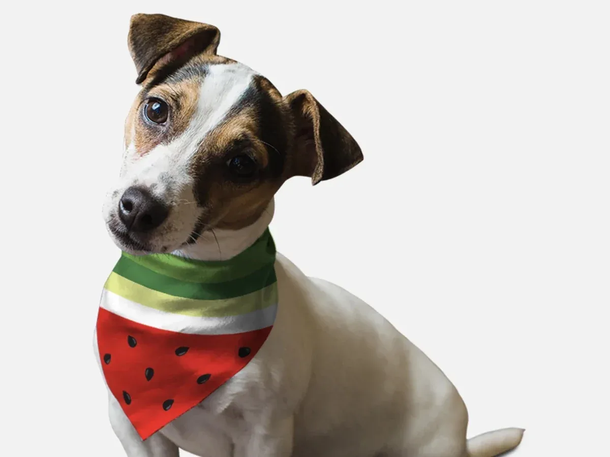Sweet Slice Dog Bandana by BanDoggie