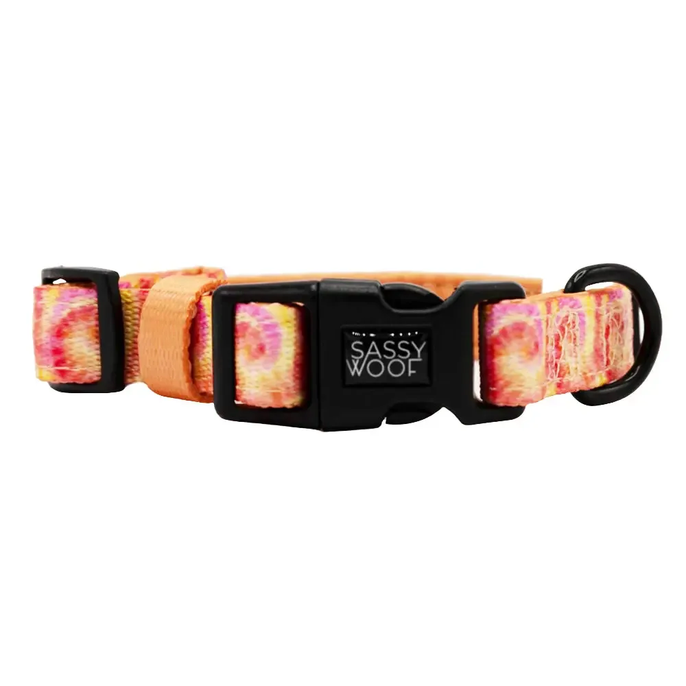 Groovy Summer Sorbet Collar