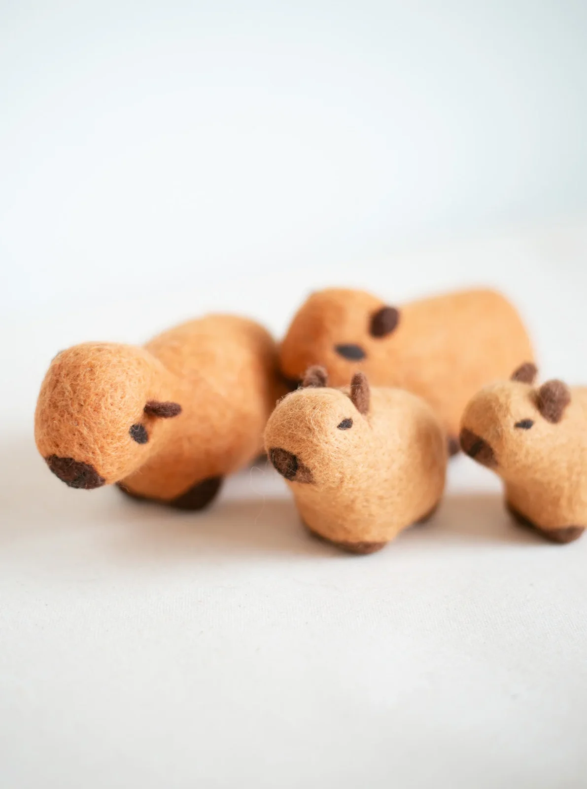 CAPYBARA WOOL DOG TOY - Image 2
