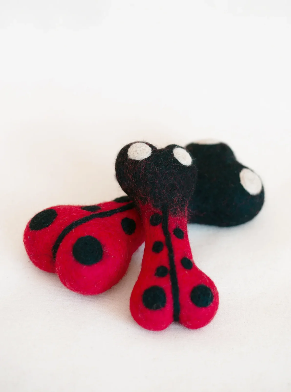 LADYBUG WOOLBONE DOG TOY