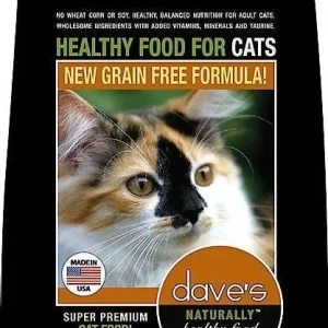 Dave's Pet Food Naturally Healthy Dry Cat Food - 8 lb