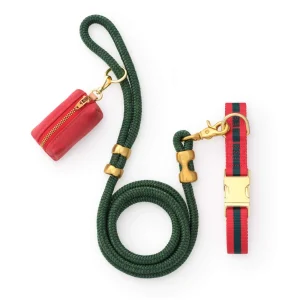 Noel Striped Webbing Collar Walk Set