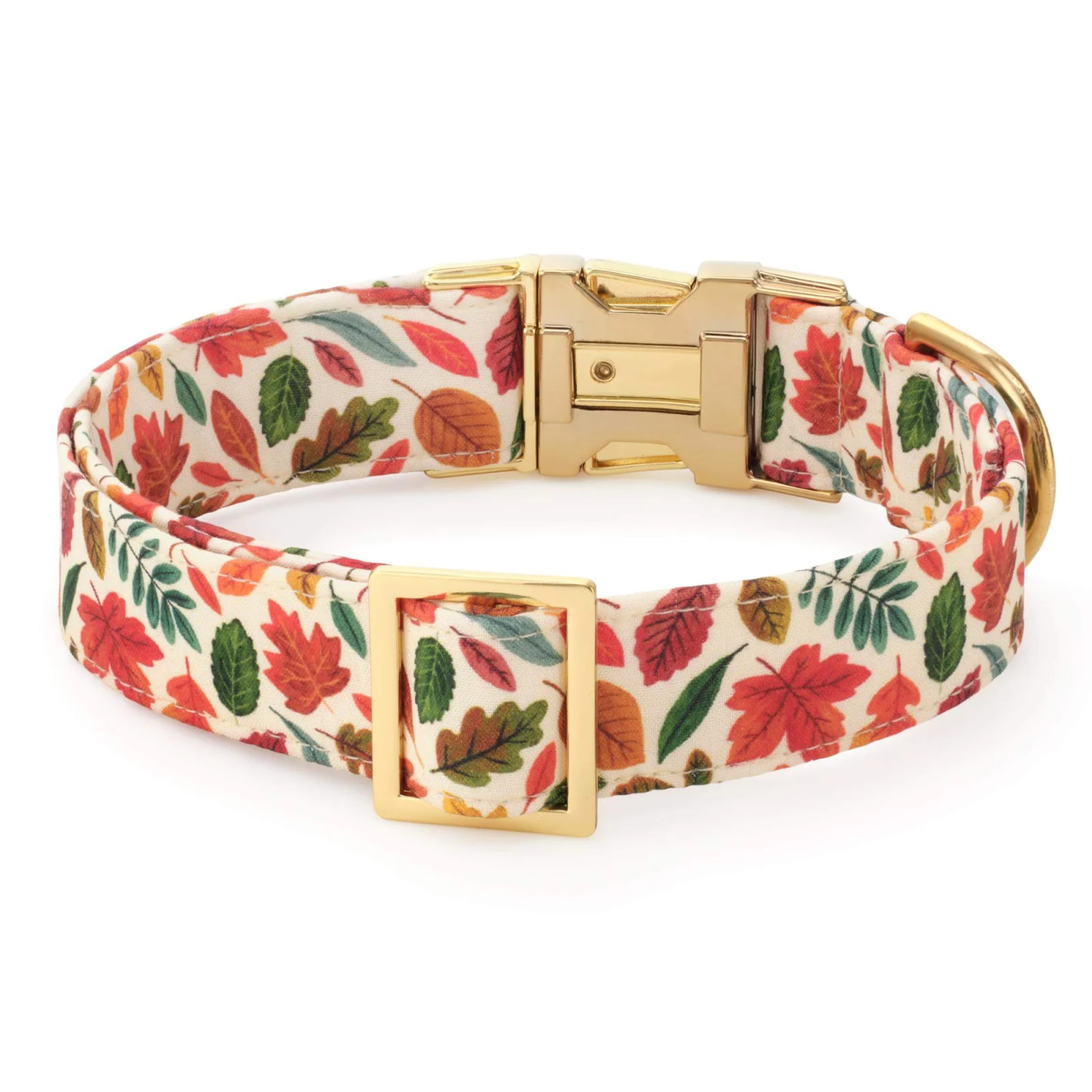 Falling Leaves Dog Collar - Image 2