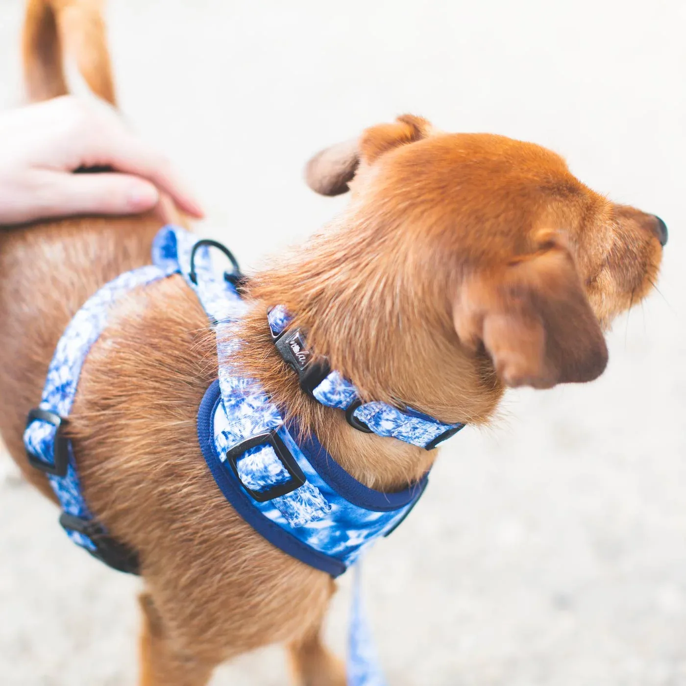 Love Nala Water Harness - Image 2