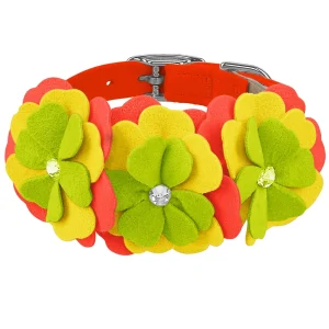 Susan Lanci Citrus Flower Collar