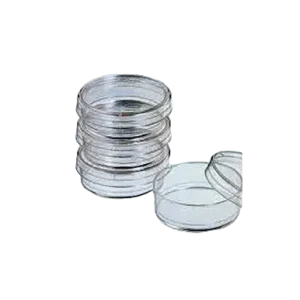 Petri Dish Falcon 60mmx15mm