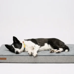 VersaTails® Orthopedic Dog Mattress