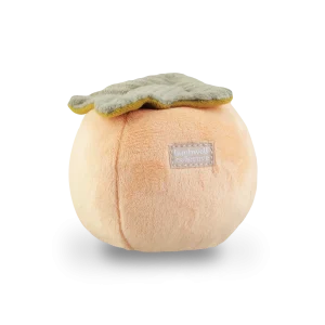 PERSIMMON