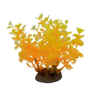 LiveAquaria® 4"; Fall Glory Plant