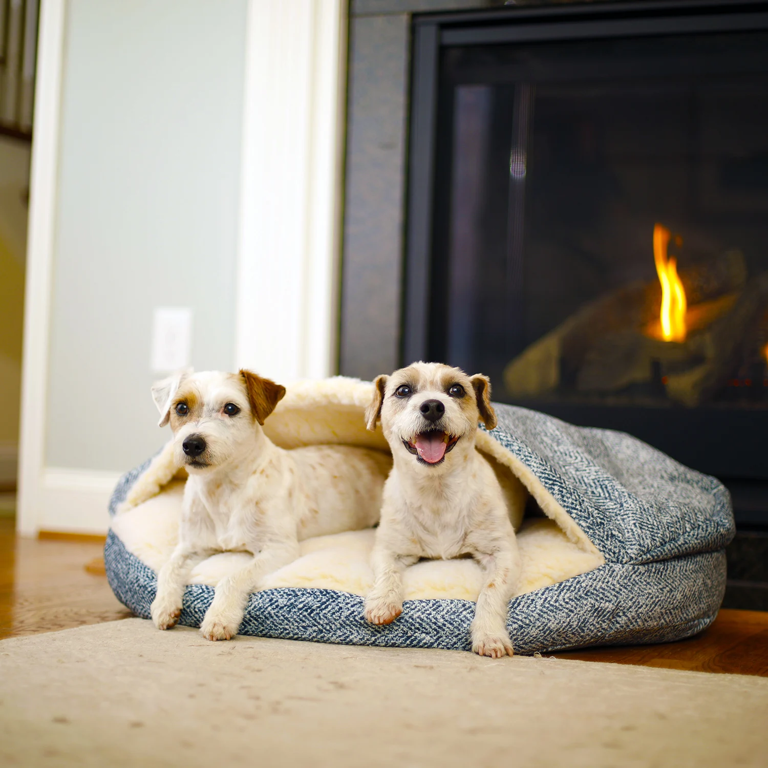Replacement Cover – Luxury Cozy Cave® Dog Bed – Show Dog Collection