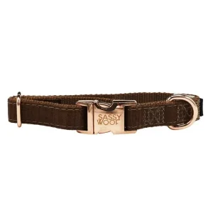 Fall Dog Collar - Teddy
