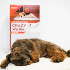 The Green Pet Shop Crazy Warm Pet Pad Dog Bed