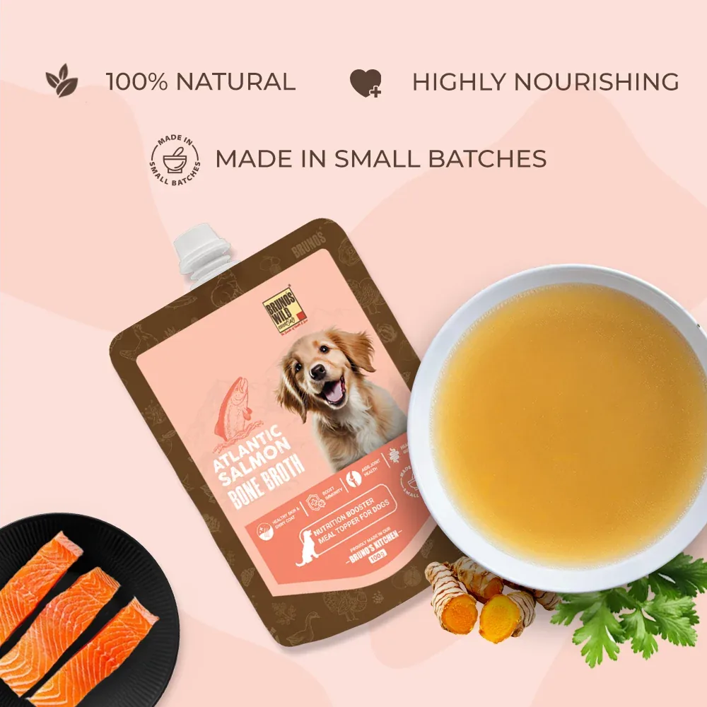 Bruno's Wild Essentials Atlantic Salmon Bone Broth For Dogs - Image 2