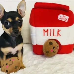 Holiday Burrow- Santa's Milk and Cookies