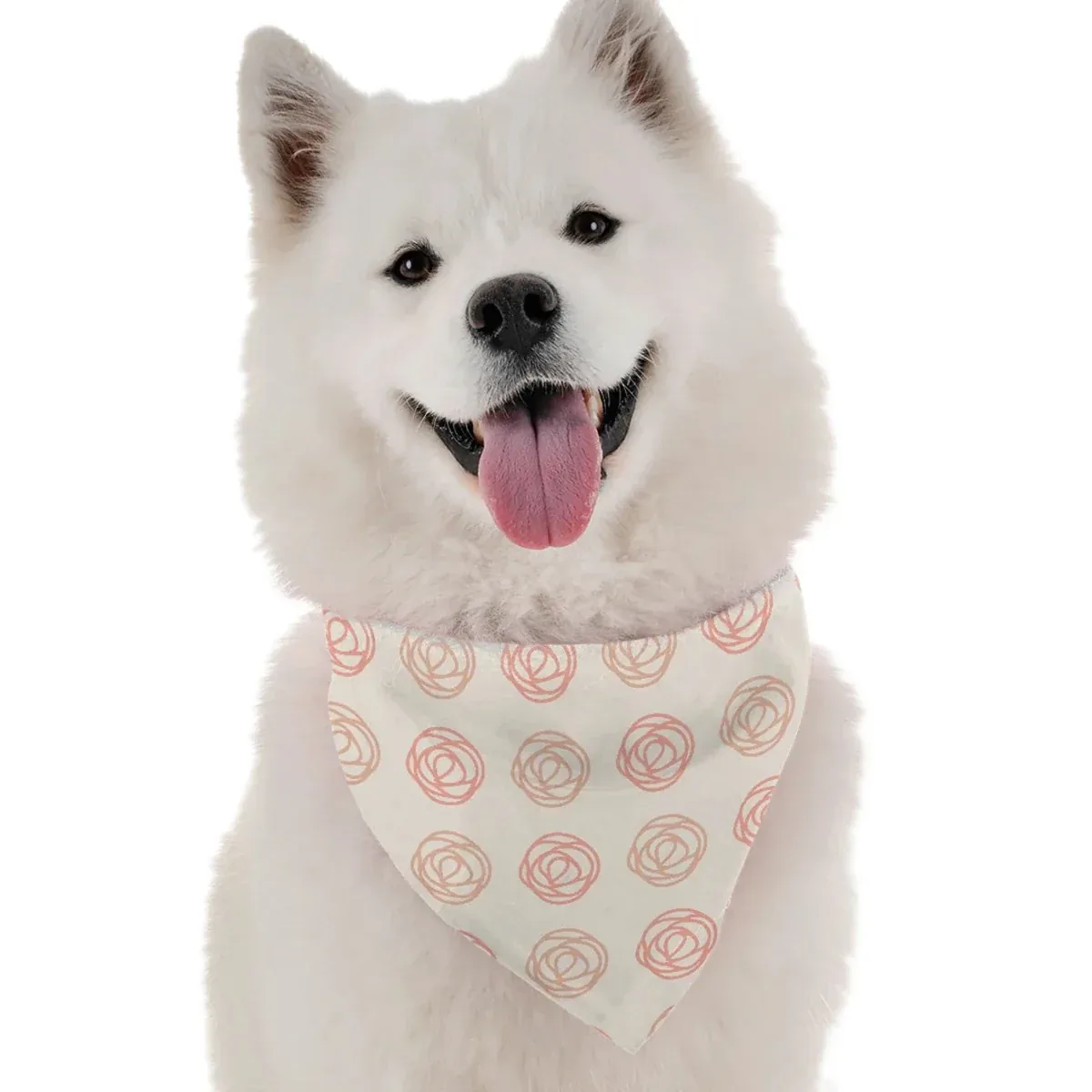 Haven Coastal Dog Bandana by Bandoggies