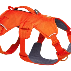 Web Master™ Dog Harness with Handle