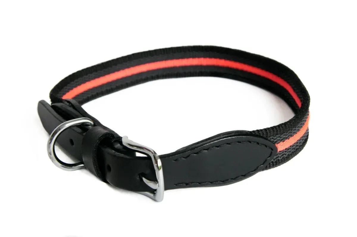 Alvalley Reflective Anti-Slip Dog Collar with Buckle (24 in x 1 in) - Image 2