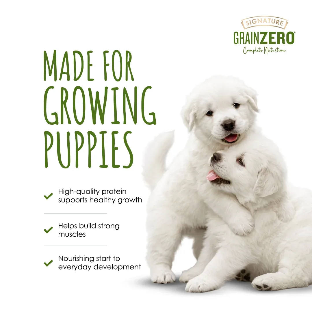 Signature Grain Zero Real Chicken Chunks Gravy Puppy Dog Wet Food - Image 2