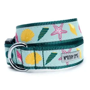 Seashells Collar & Lead Collection