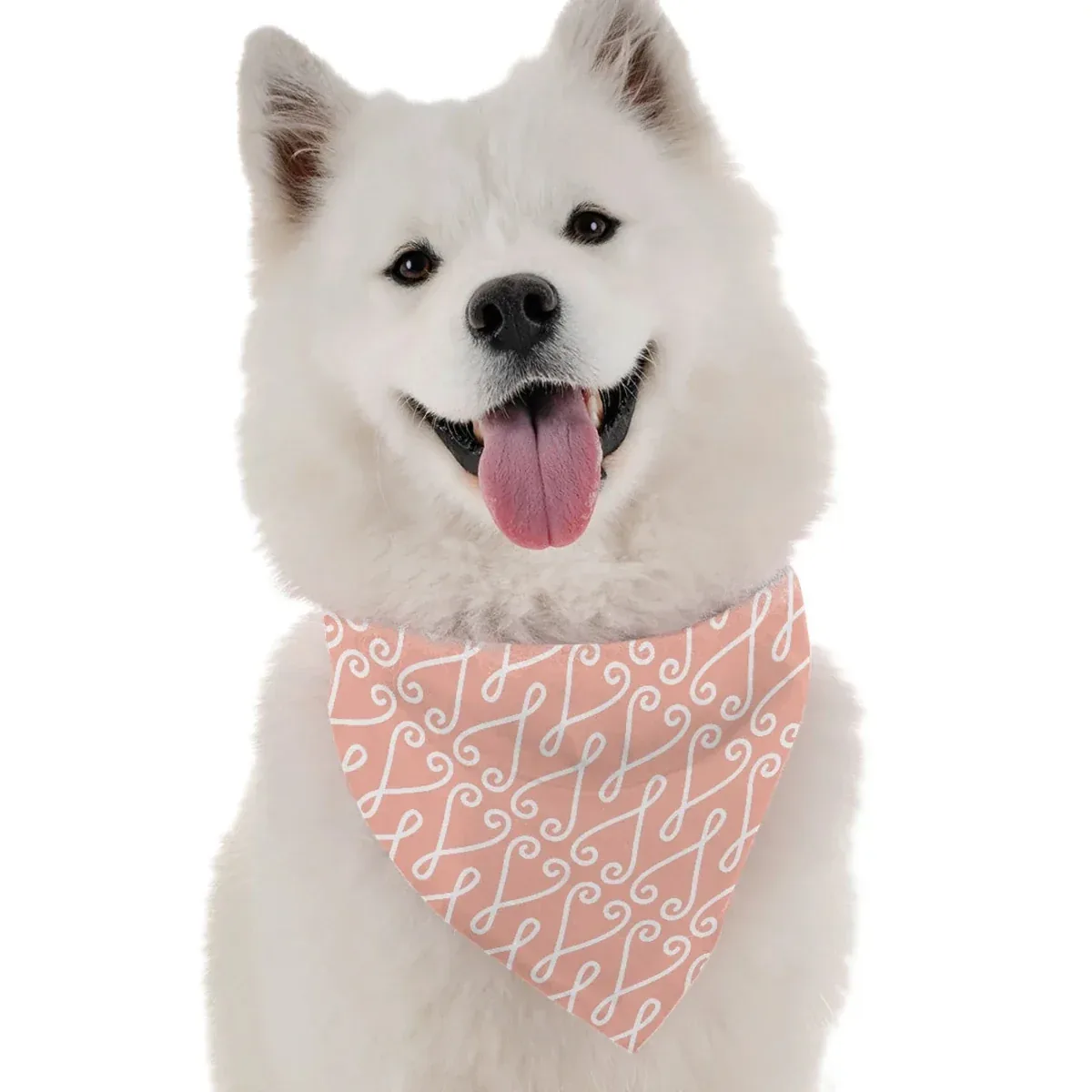 Peri Dog Bandana by BanDoggie
