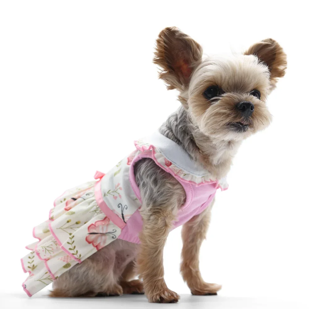 Butterfly Dress - Image 2