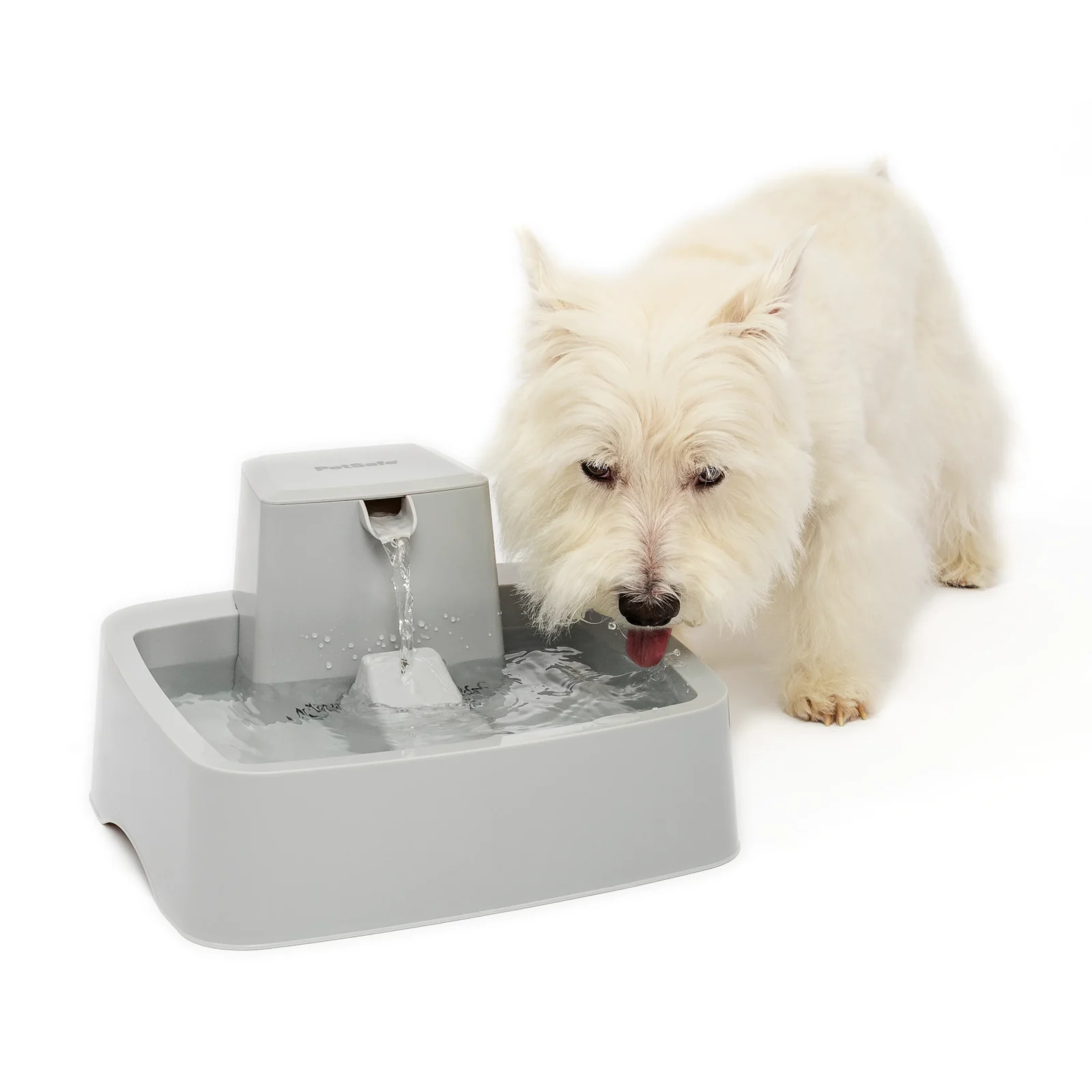 Oasys™ Pet Fountain - Image 2