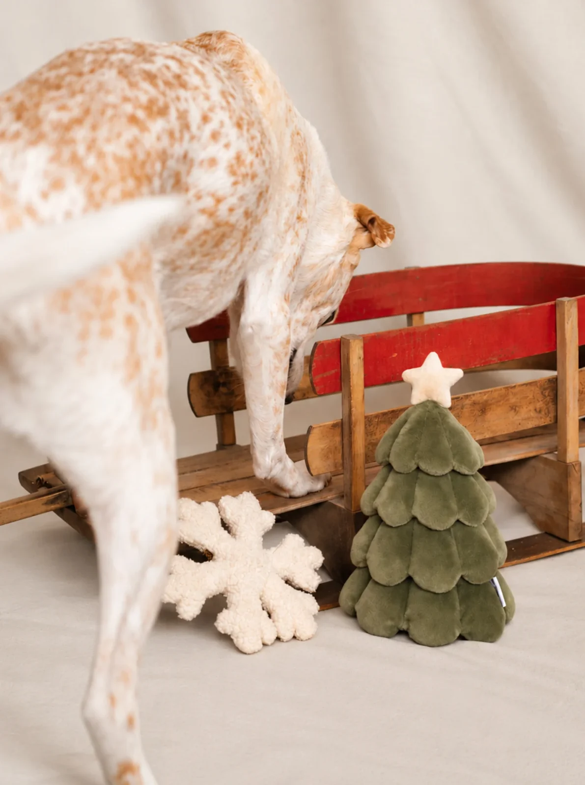 THE SNOWFLAKE DOG TOY - Image 2