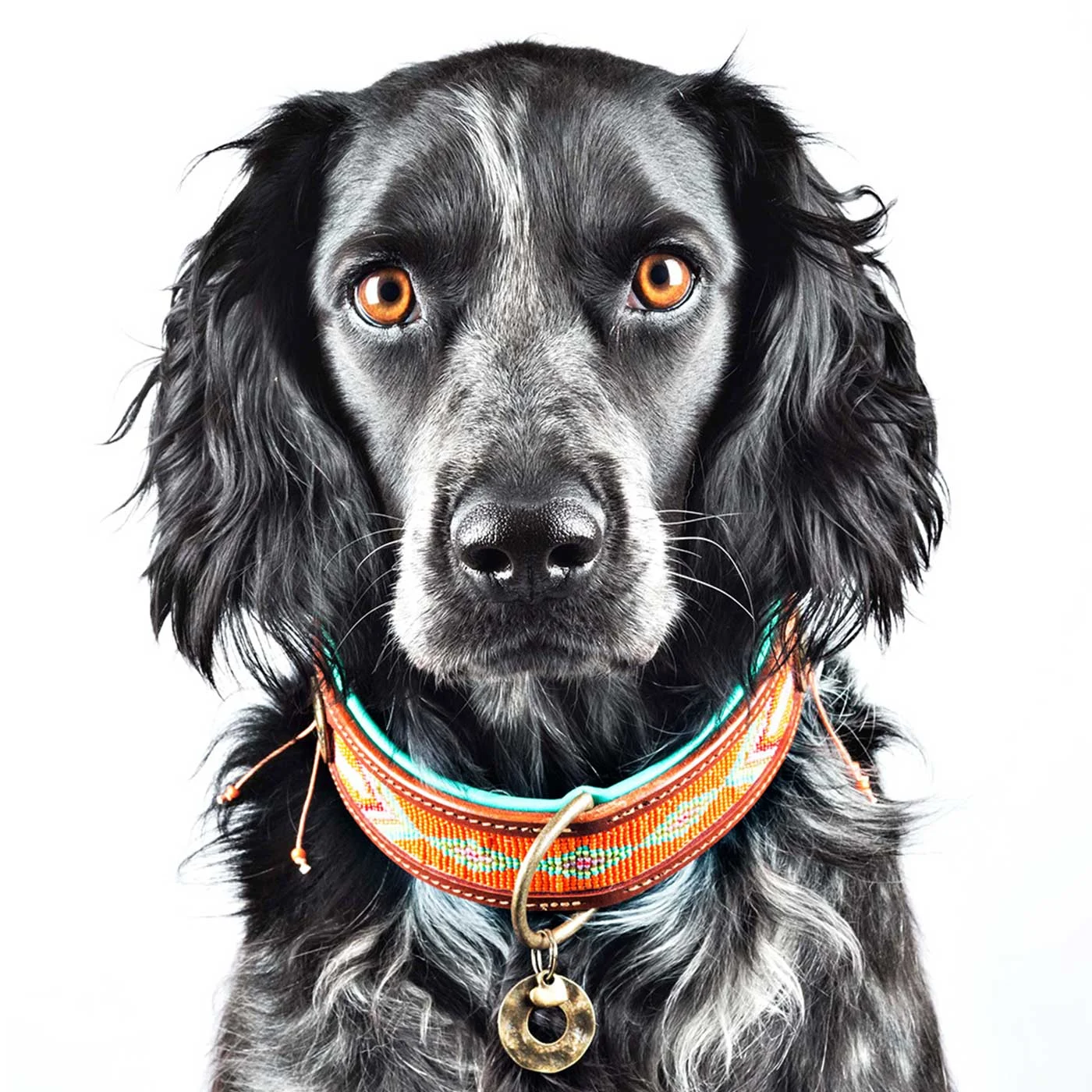 Tiger Lily Dog Collar by DWAM - Image 2