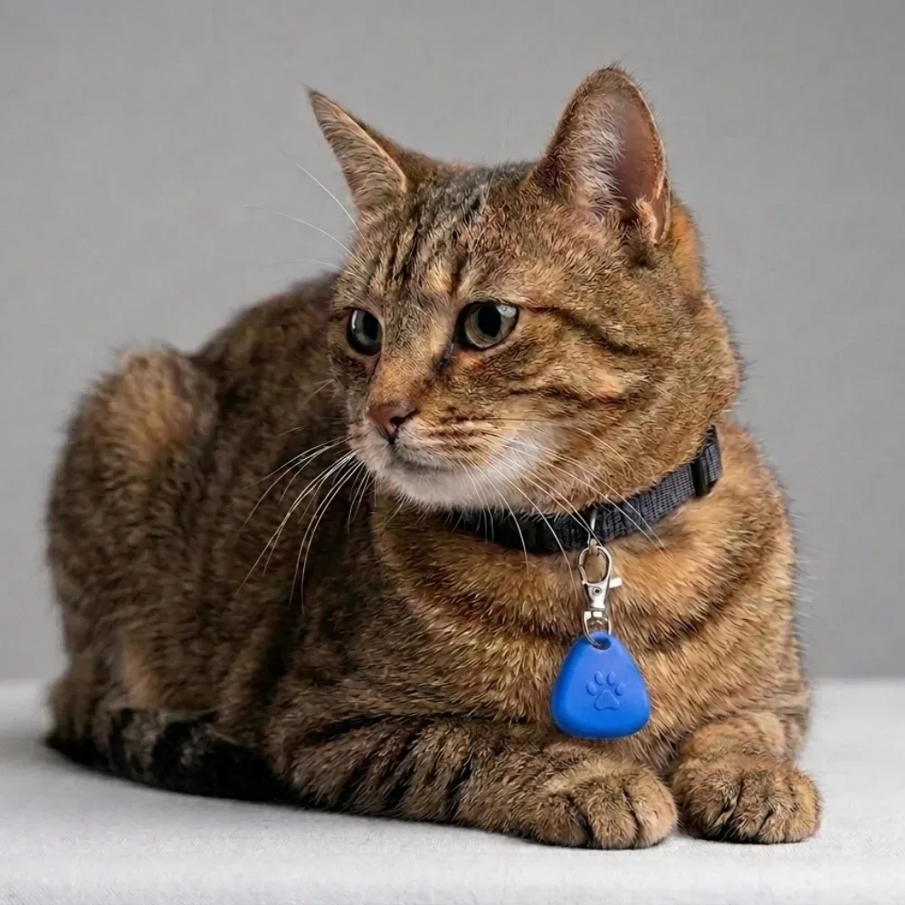 Skatrs PawGlow LED Charm (Blue) - Image 2