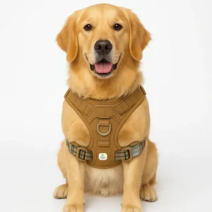 Zoivane Harness for Dogs (Black & Green)