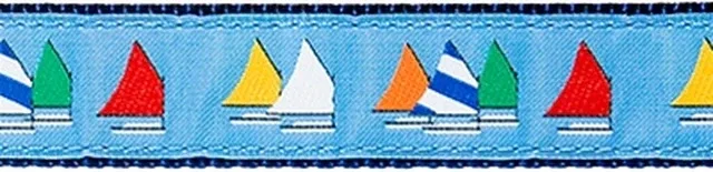 Rainbow Fleet on Light Blue