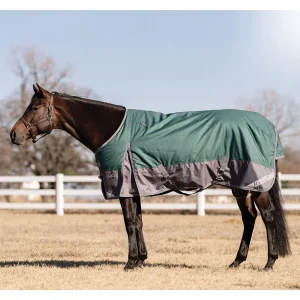 Professionals Choice Emerald Horse 1200D 300g Winter Blanket