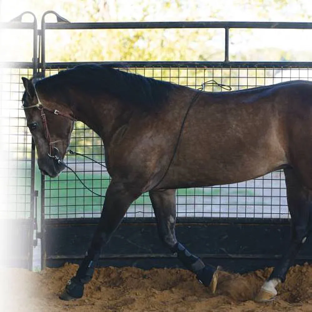 Professionals Choice Lunging Buddy - Image 2